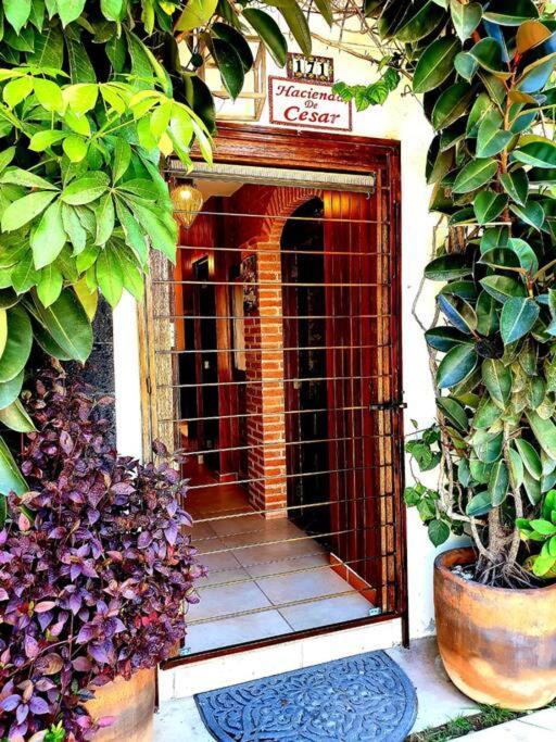 Сasa de vacaciones Hacienda De Cesar
